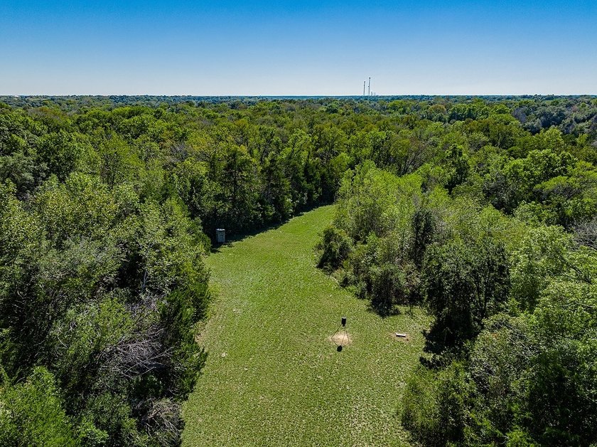 40 Acres - 1.3 Miles from Downtown Round Top - This prime - photo 6