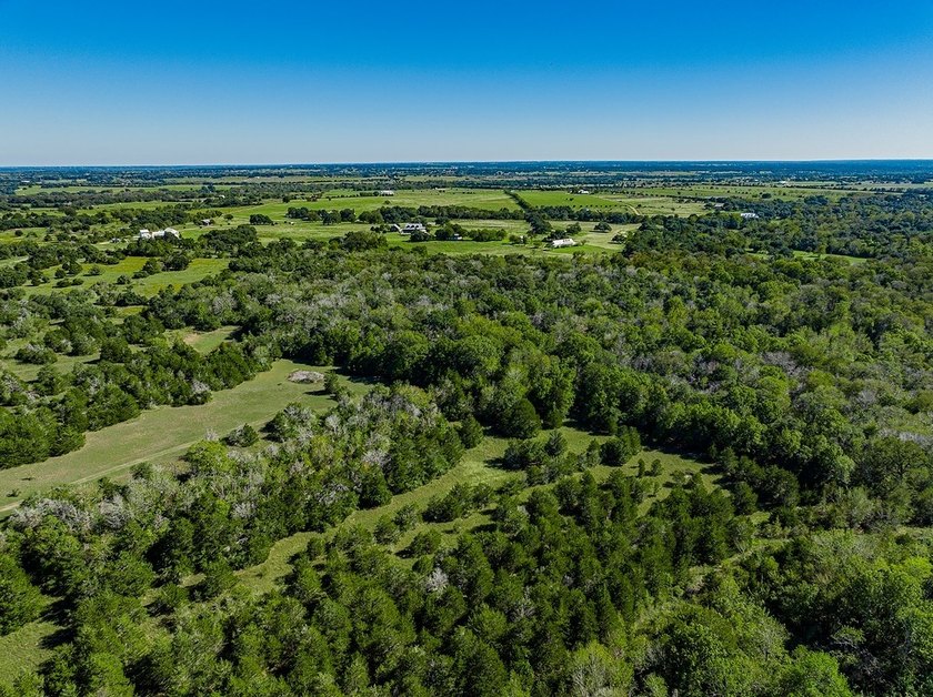 40 Acres - 1.3 Miles from Downtown Round Top - This prime - photo 7