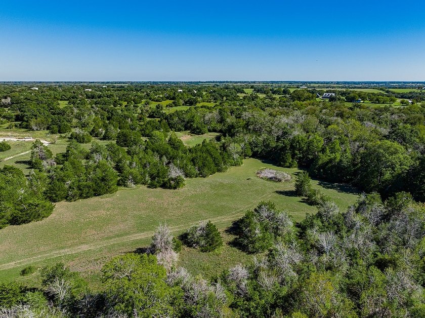 40 Acres - 1.3 Miles from Downtown Round Top - This prime - photo 8