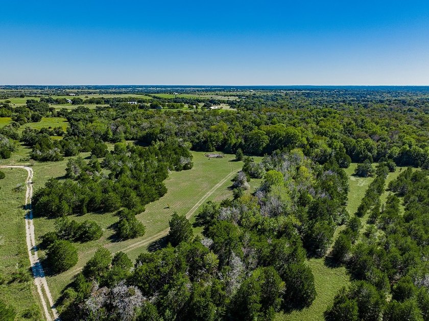 40 Acres - 1.3 Miles from Downtown Round Top - This prime - photo 9