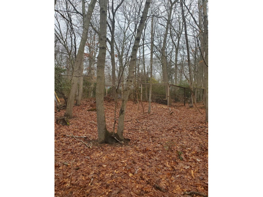 Discover the perfect opportunity to build your dream home in the - photo 4