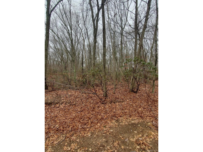 Build Your Dream Home in Spectacular and Peaceful Nissequogue - photo 2