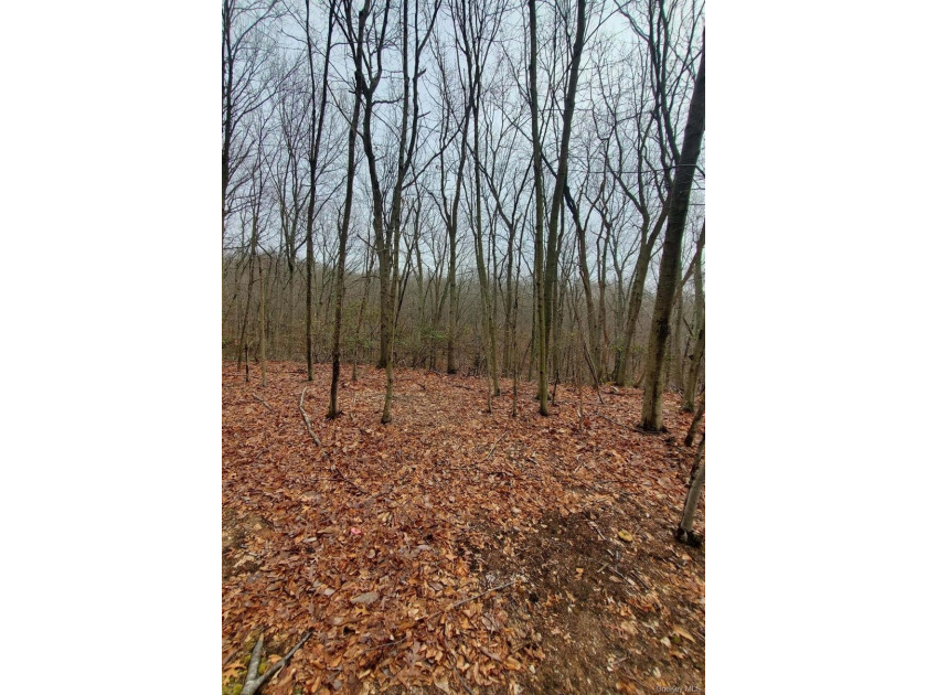 Build Your Dream Home in Spectacular and Peaceful Nissequogue - photo 3