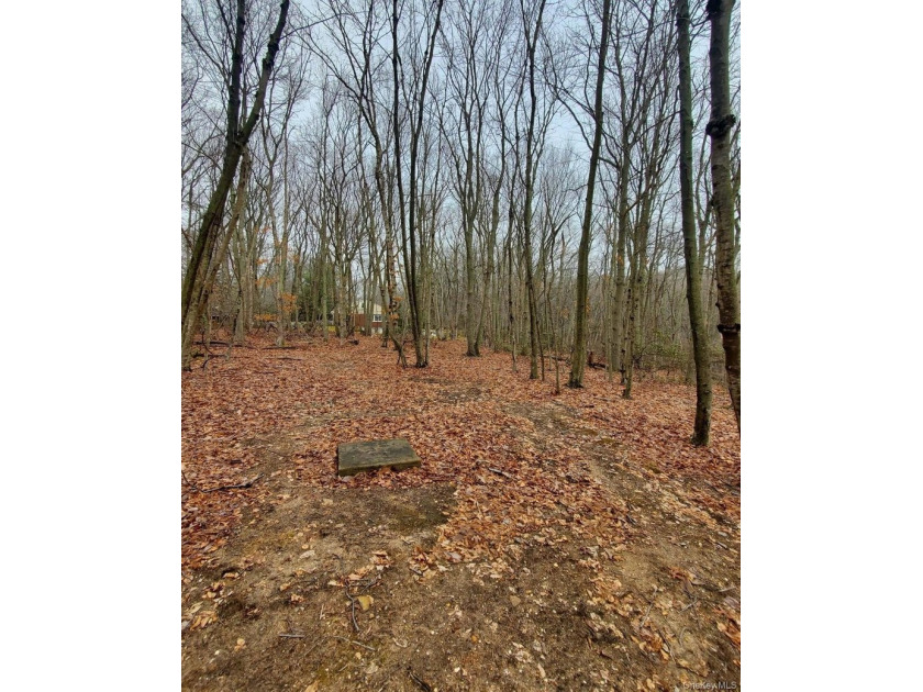 Build Your Dream Home in Spectacular and Peaceful Nissequogue - photo 4