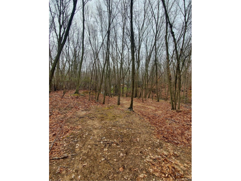 Build Your Dream Home in Spectacular and Peaceful Nissequogue - photo 5