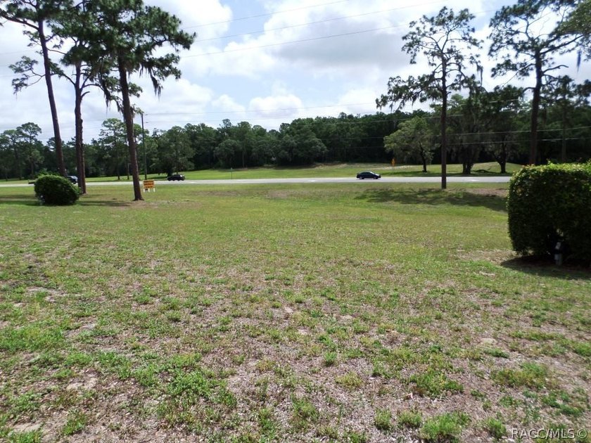 Situated centrally within the Rainbow Springs Community, this - photo 6