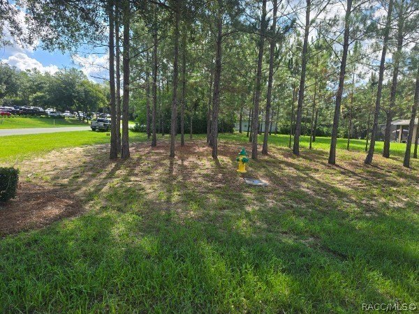 Act fast to secure one of the absolute last remaining homesites - photo 4