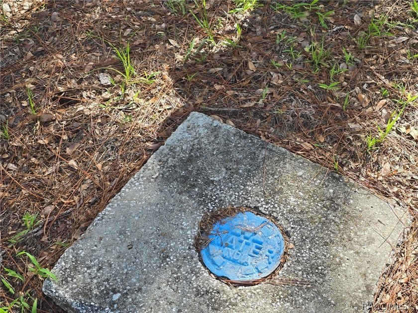 Act fast to secure one of the absolute last remaining homesites - photo 7