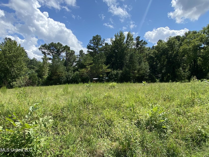 42 beautiful acres, with rolling pastures, mature trees and - photo 16