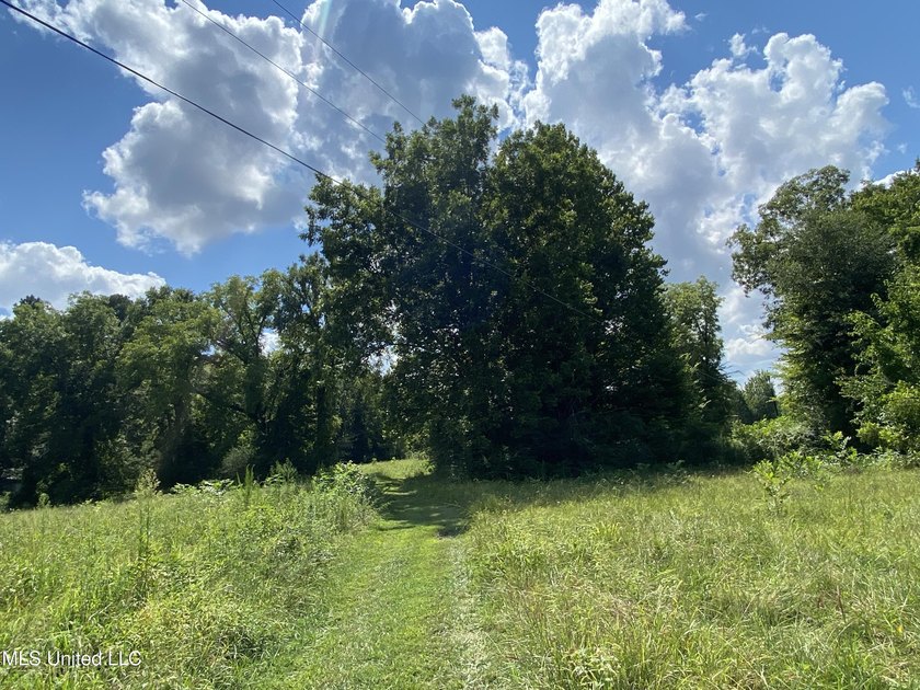 42 beautiful acres, with rolling pastures, mature trees and - photo 18
