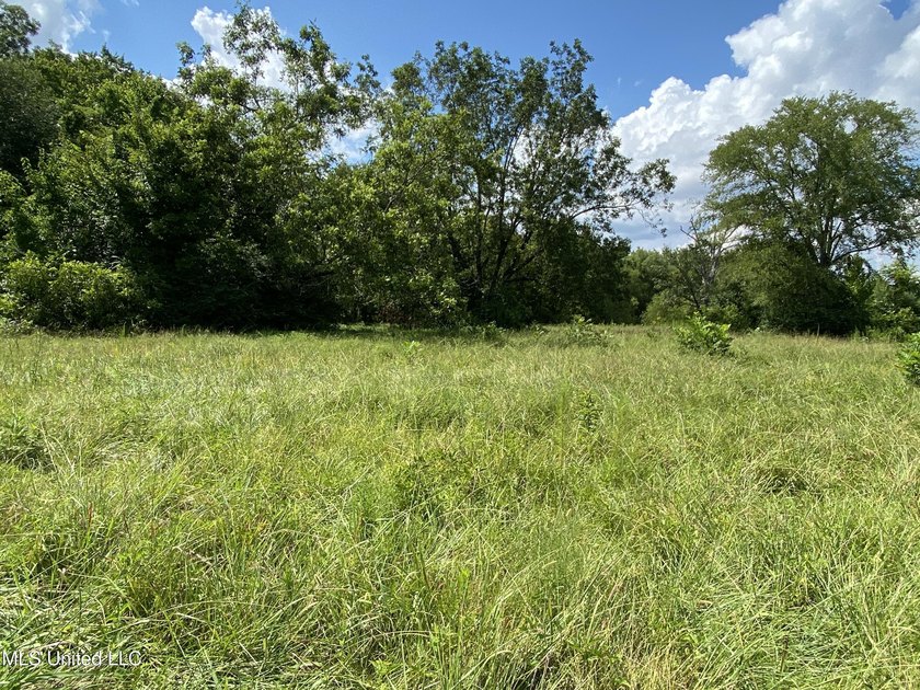 42 beautiful acres, with rolling pastures, mature trees and - photo 19