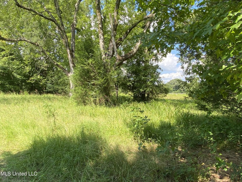 42 beautiful acres, with rolling pastures, mature trees and - photo 20