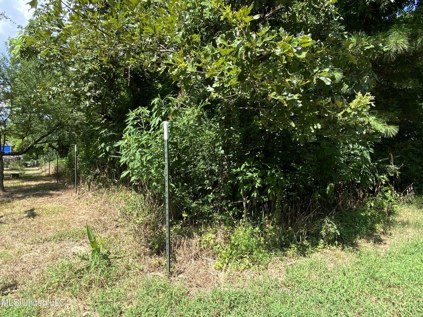 42 beautiful acres, with rolling pastures, mature trees and - photo 21