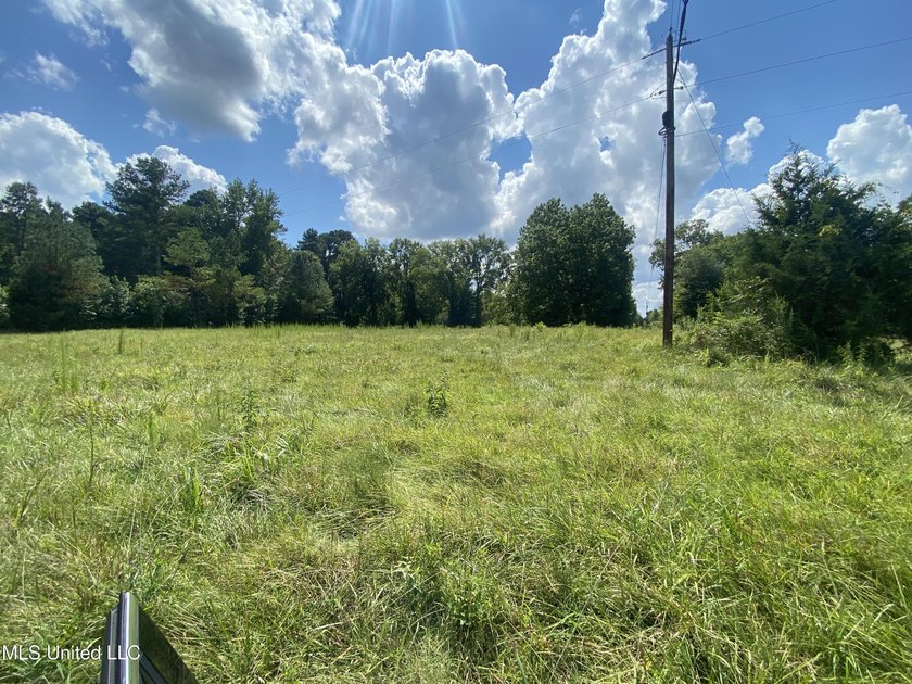 42 beautiful acres, with rolling pastures, mature trees and - photo 22