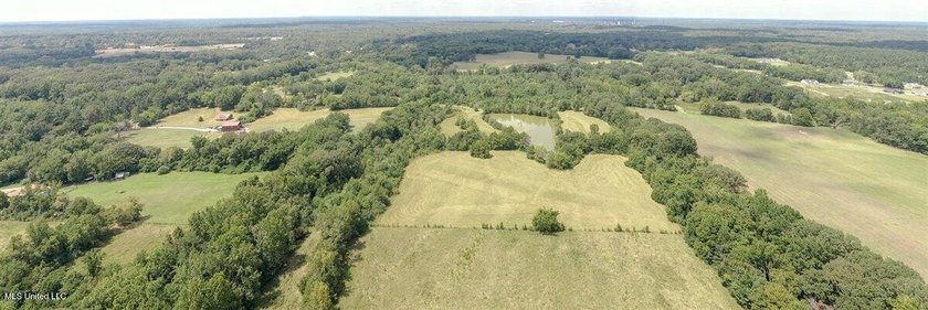 42 beautiful acres, with rolling pastures, mature trees and - photo 24