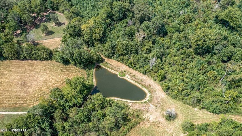 42 beautiful acres, with rolling pastures, mature trees and - photo 26
