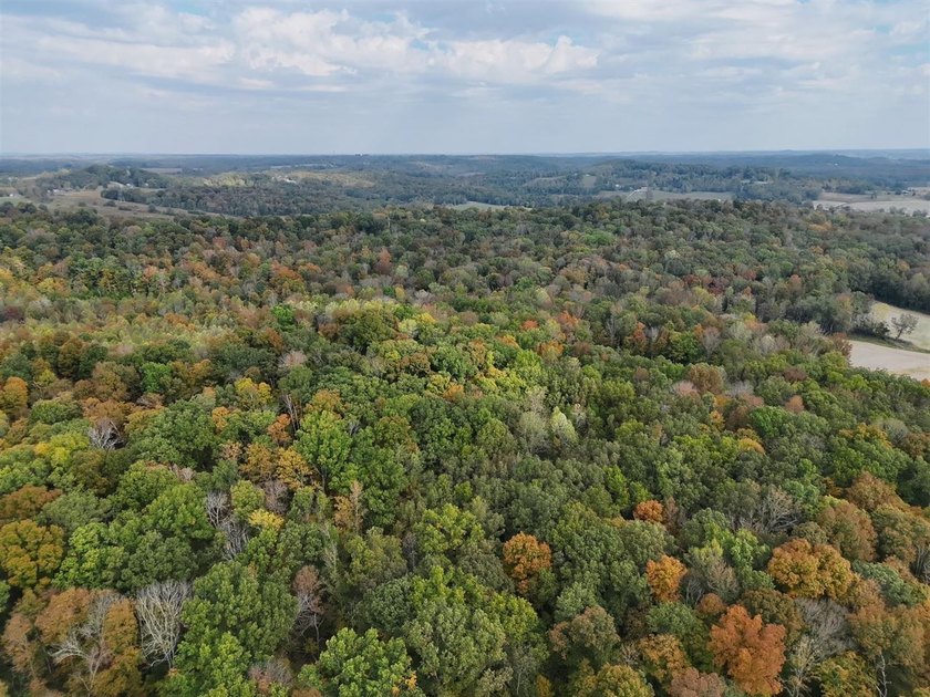 208.48 Surveyed acres of paradise best describe this beautiful - photo 6