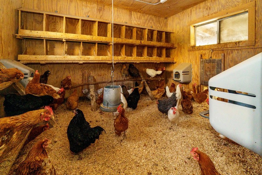 Plum Lake Event &amp; Equestrian Center is a rare 40-acre hobby farm - photo 41