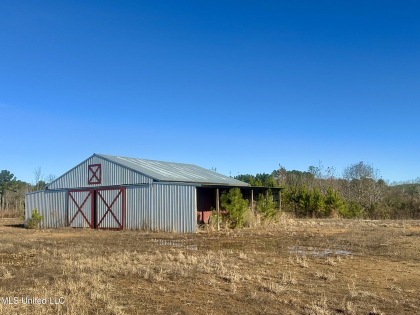 Located off Attala Road 3027 in Attala County, Mississippi, this - photo 17