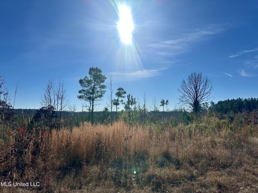 Located off Attala Road 3027 in Attala County, Mississippi, this - photo 18