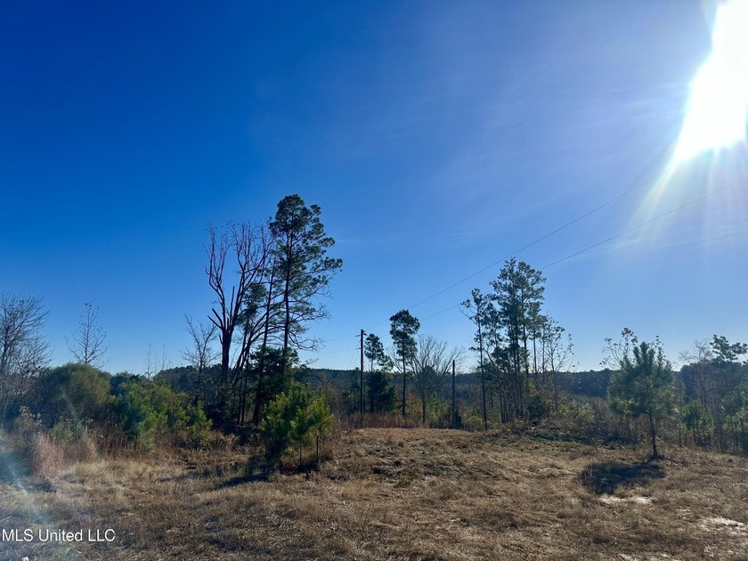 Located off Attala Road 3027 in Attala County, Mississippi, this - photo 19