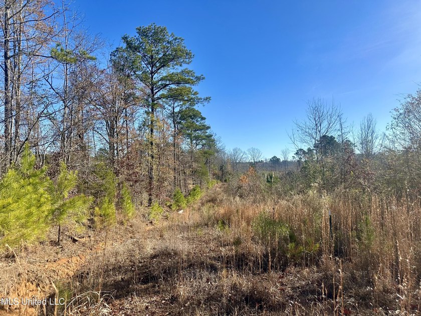 Located off Attala Road 3027 in Attala County, Mississippi, this - photo 20