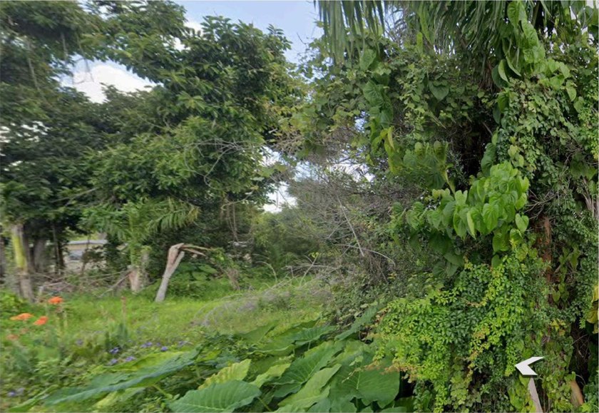 A rare find, close to city center. Offering endless - photo 3