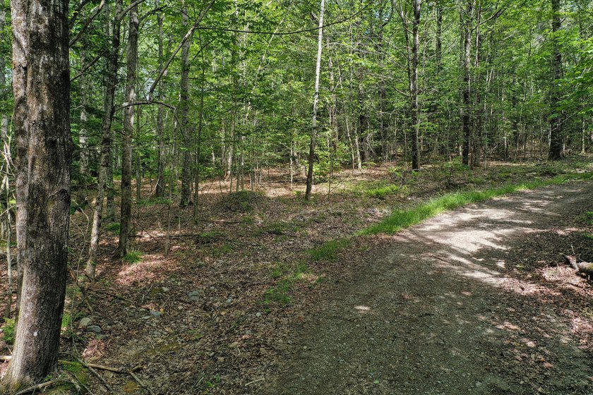 Set on 2 wooded acres in Montville, this property offers a - photo 5