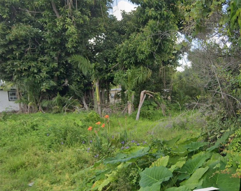 A rare find, close to city center. Offering endless - photo 2