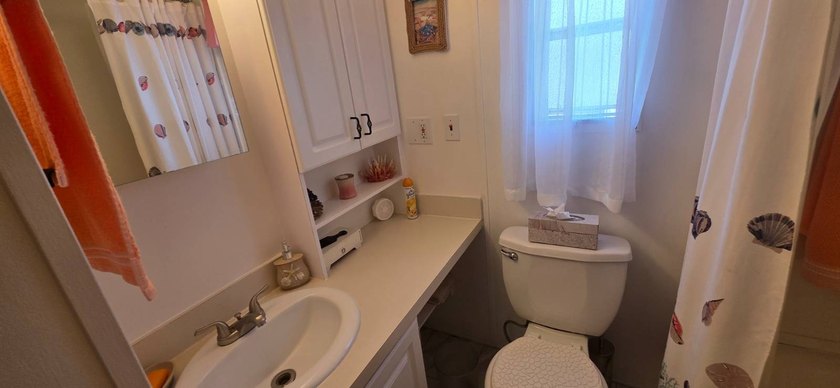 751 10th St E Lot OF2 Palmetto FL. 34221 Palm Bay Mobile Home - photo 8
