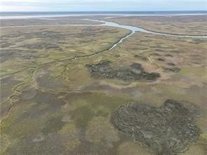 Don't miss this opportunity to own untouched marsh property on - photo 4