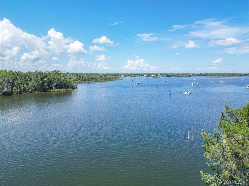 Welcome to waterfront living on one of Crystal River's most - photo 4
