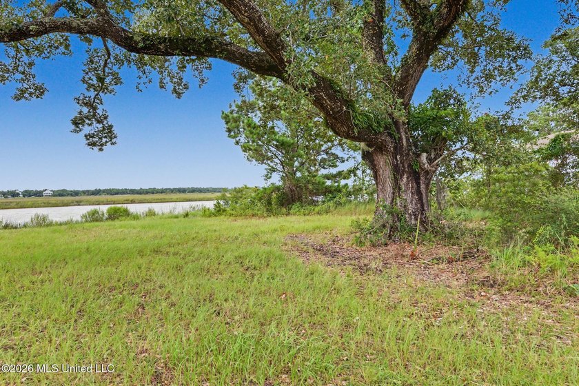 Discover a rare opportunity to own 12.65 acres of waterfront - photo 6