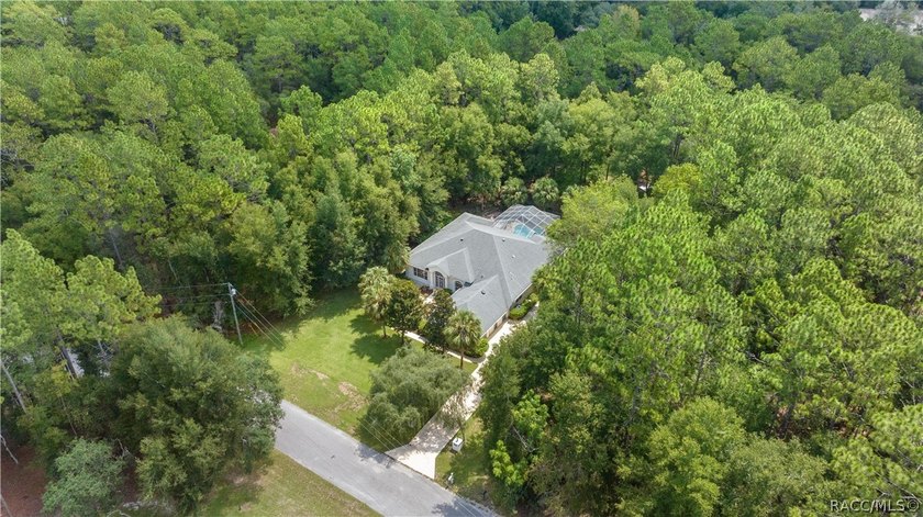 Welcome to the Pool Home on over an acre of A-1 land that you've - photo 2