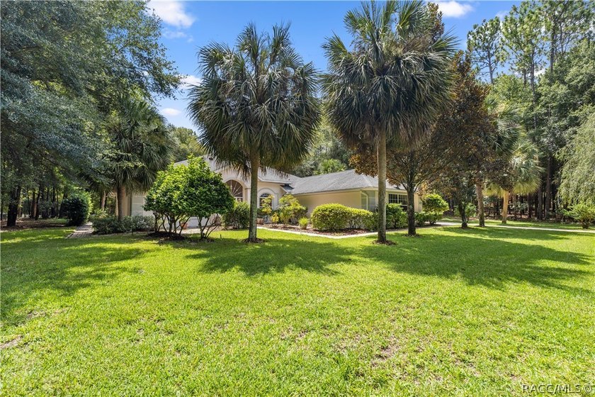 Welcome to the Pool Home on over an acre of A-1 land that you've - photo 6