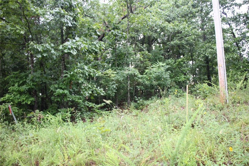 20.55 acres heavily wooded only minutes to town. This property - photo 22