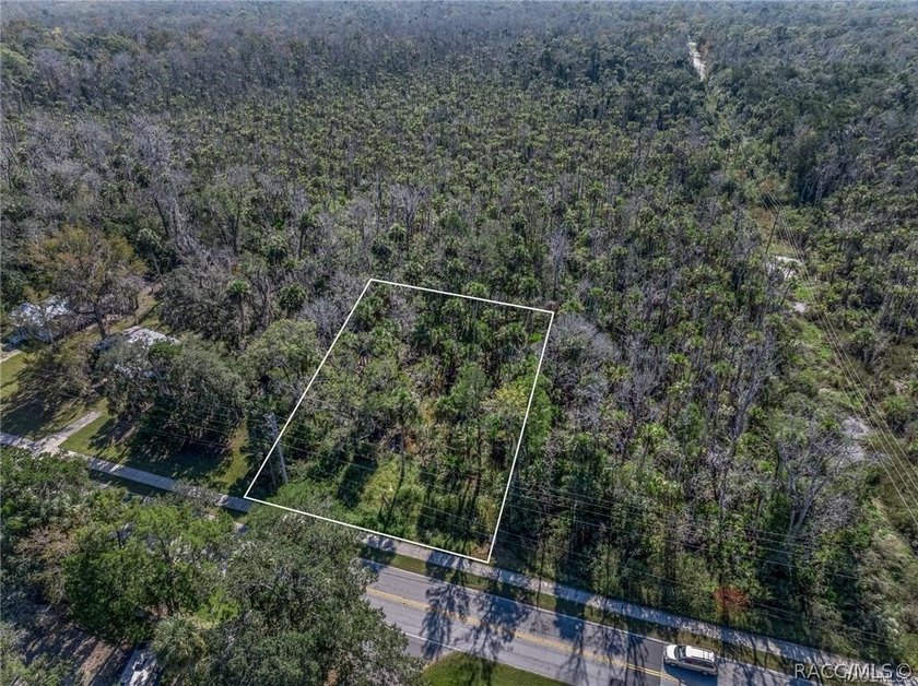 Almost half an acre in the middle of old Homosassa and close to - photo 2