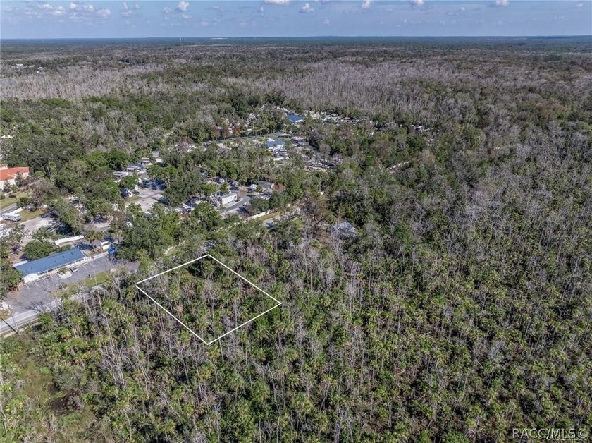 Almost half an acre in the middle of old Homosassa and close to - photo 4