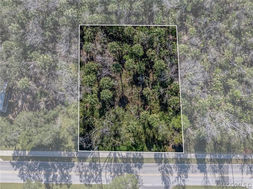 Almost half an acre in the middle of old Homosassa and close to - photo 5