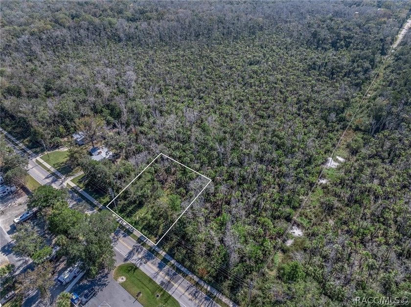 Almost half an acre in the middle of old Homosassa and close to - photo 6