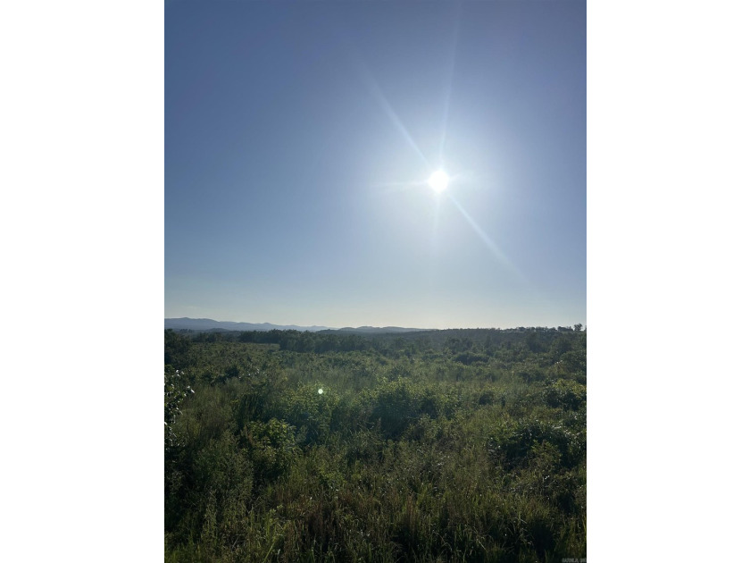 Approximately 40 acres with panoramic views of Lake Maumelle and - photo 11