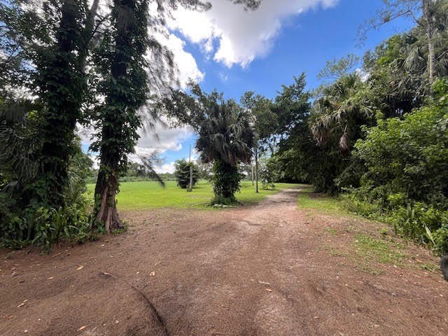 Organic farm, 2.79 acres of upland pasture after carving out the - photo 6