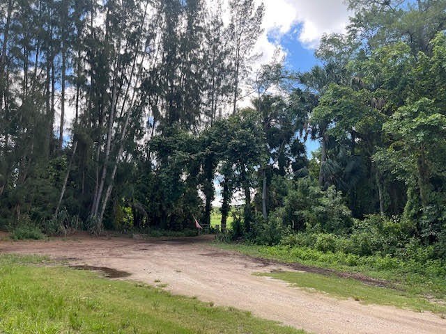 Organic farm, 2.79 acres of upland pasture after carving out the - photo 7