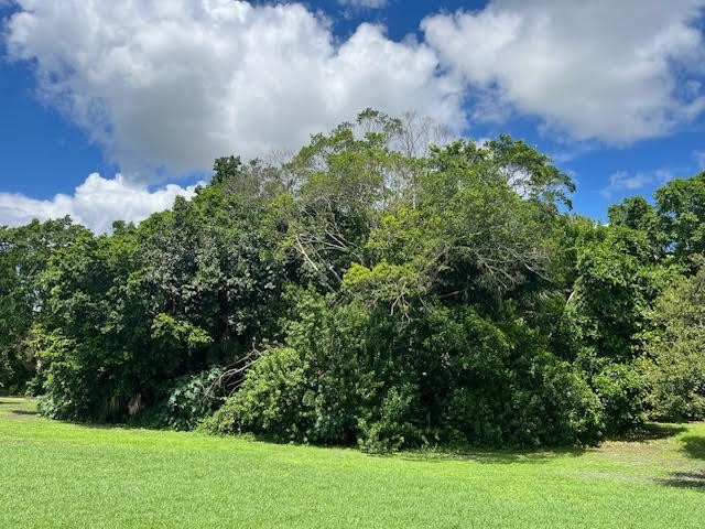 Organic farm, 2.79 acres of upland pasture after carving out the - photo 9
