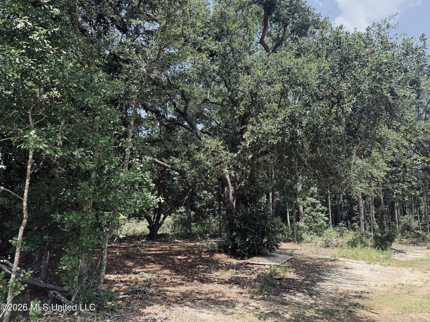 Nestled among beautiful mature hardwoods, this 2.15-acre wooded - photo 3