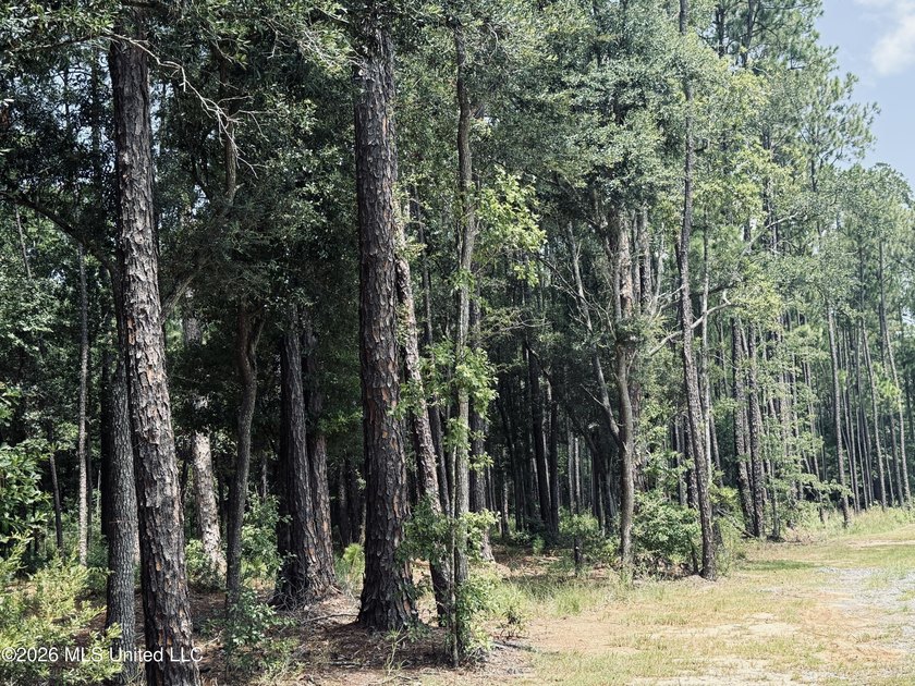 Nestled among beautiful mature hardwoods, this 2.15-acre wooded - photo 4