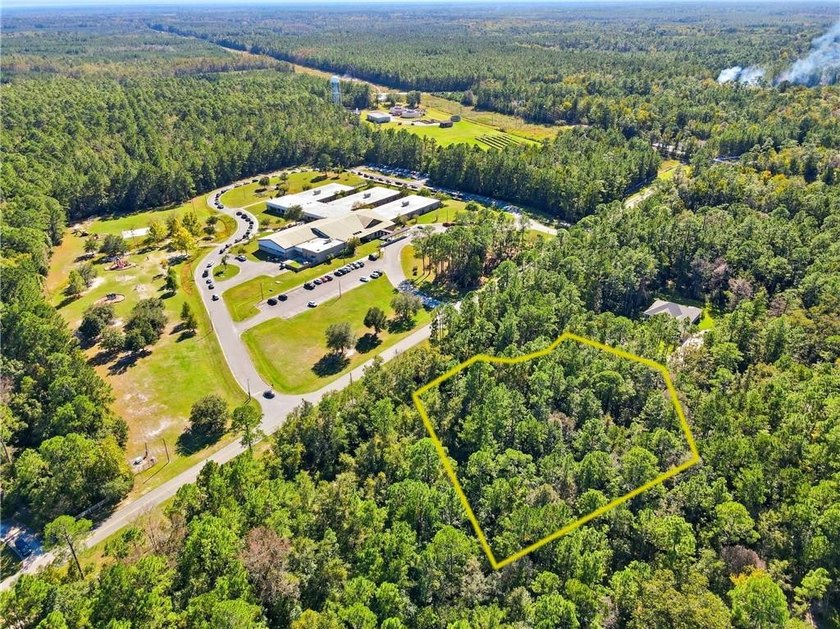 Private lot located in Satilla River Landing. Parcel 077B 110 is - photo 8