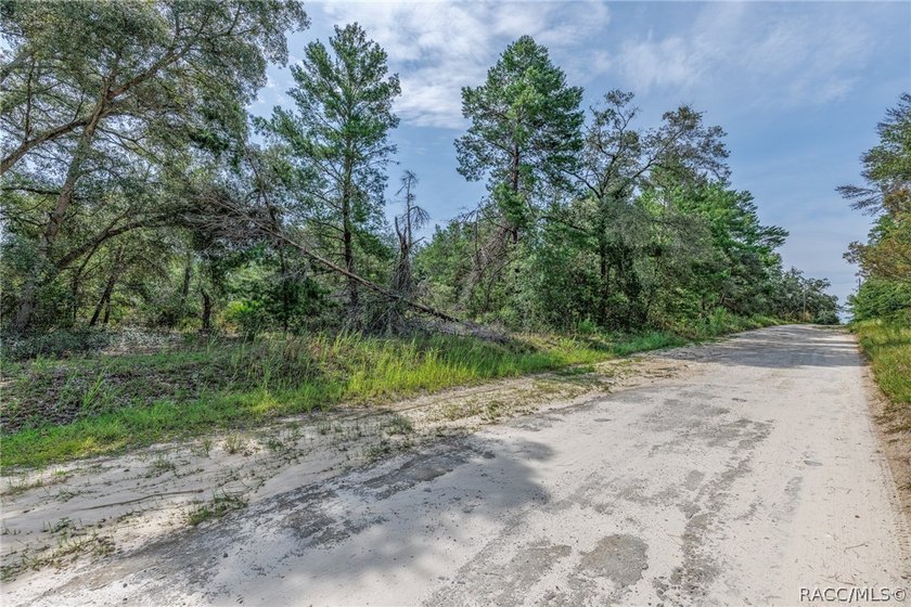 This 4.59 acre parcel falls within the Interchange Management - photo 5