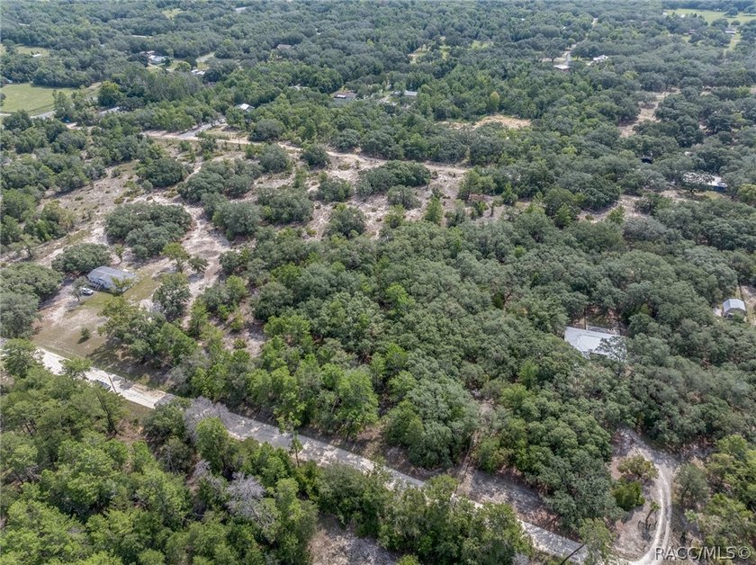 This 4.59 acre parcel falls within the Interchange Management - photo 8