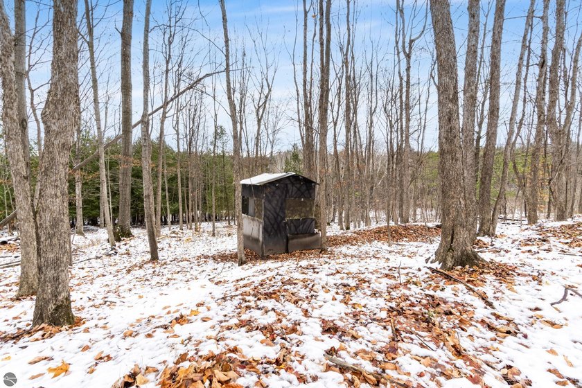 Discover one of Northern Michigan's most remarkable properties: - photo 17